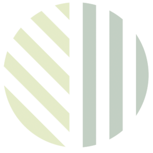 logo trans